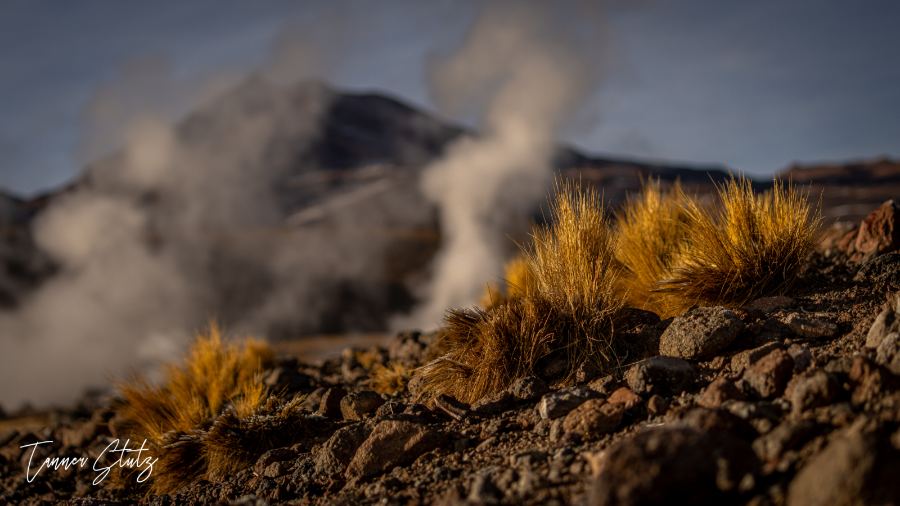 Photograph from Chile And Bolivia