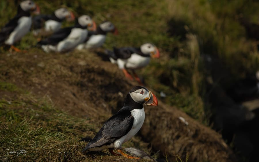 Photograph from Iceland