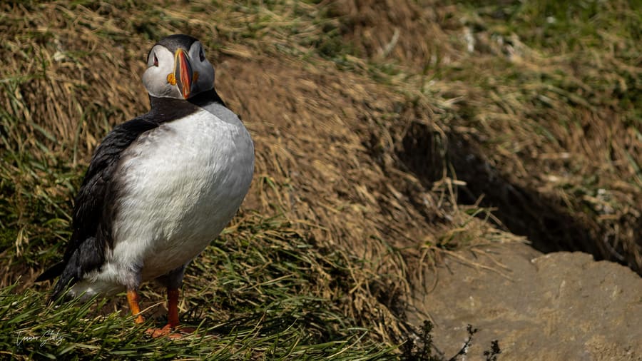 Photograph from Iceland
