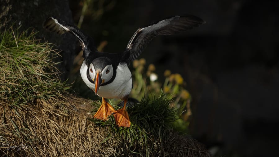 Photograph from Iceland