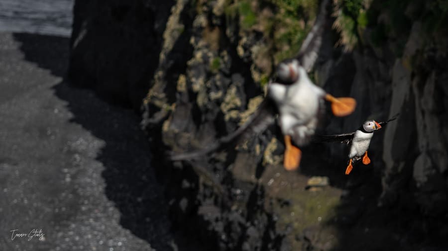 Photograph from Iceland