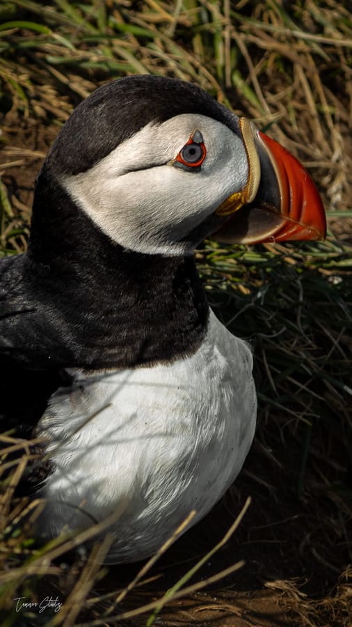 Photograph from Iceland