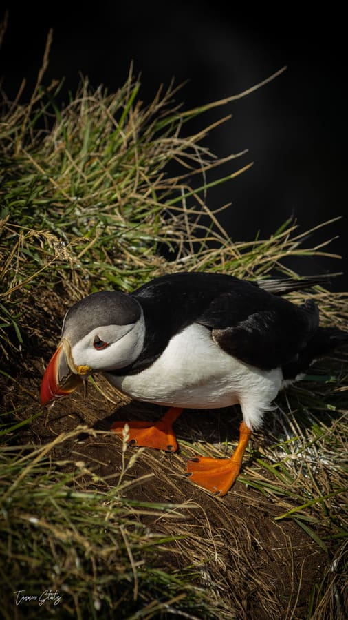 Photograph from Iceland