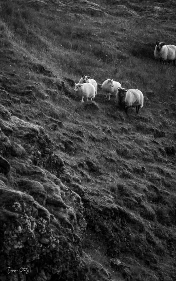 Photograph from Iceland