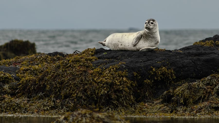 Photograph from Iceland