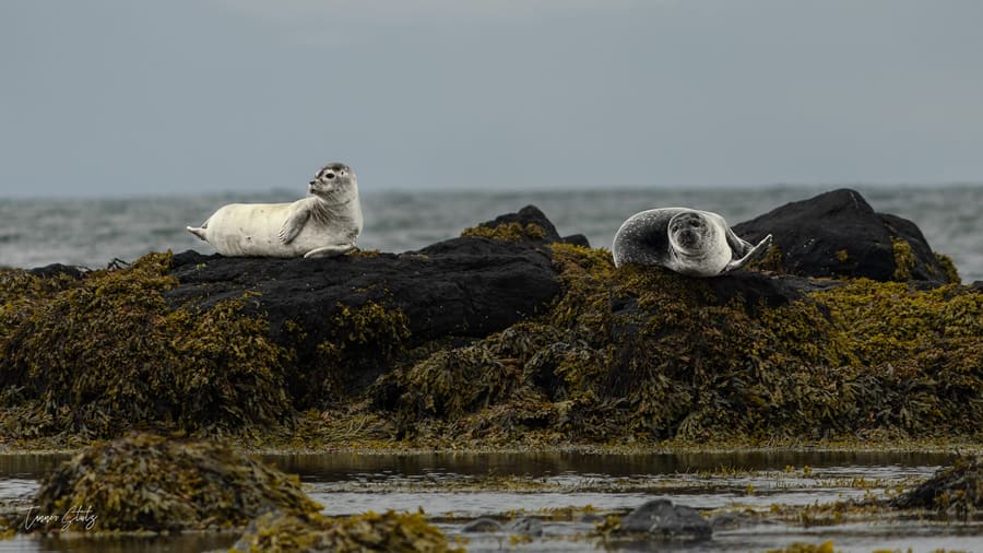 Photograph from Iceland