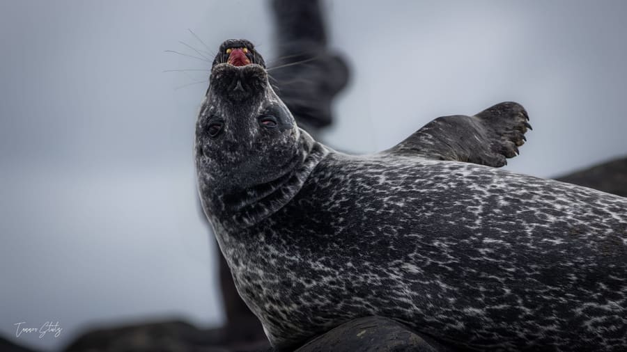 Photograph from Iceland
