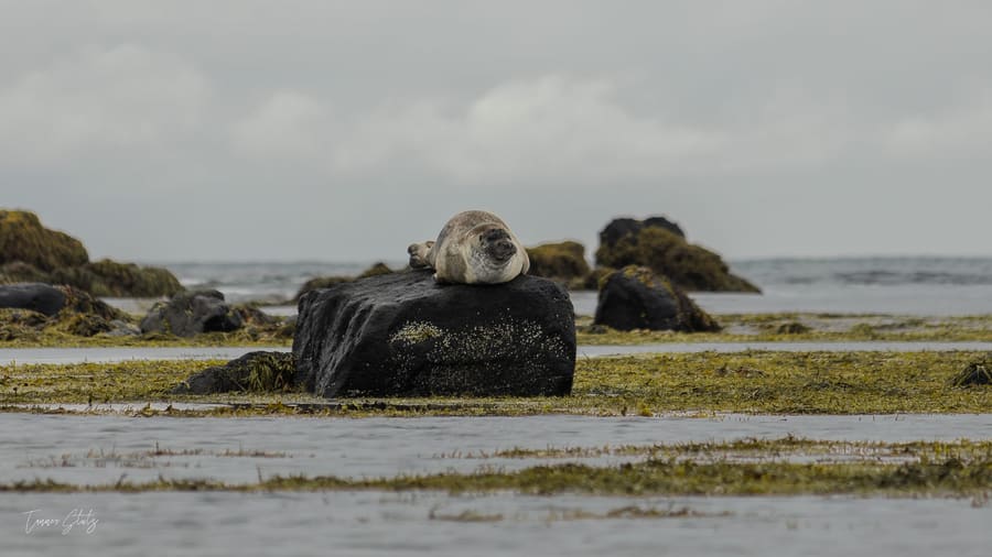 Photograph from Iceland