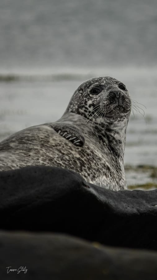 Photograph from Iceland