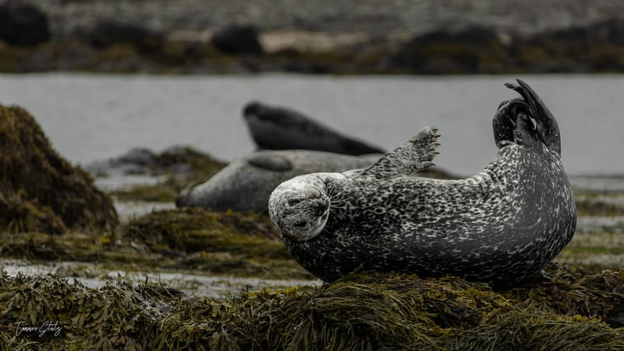 Photograph from Iceland
