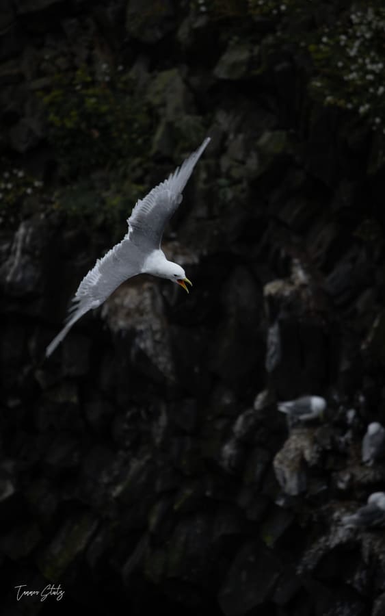 Photograph from Iceland