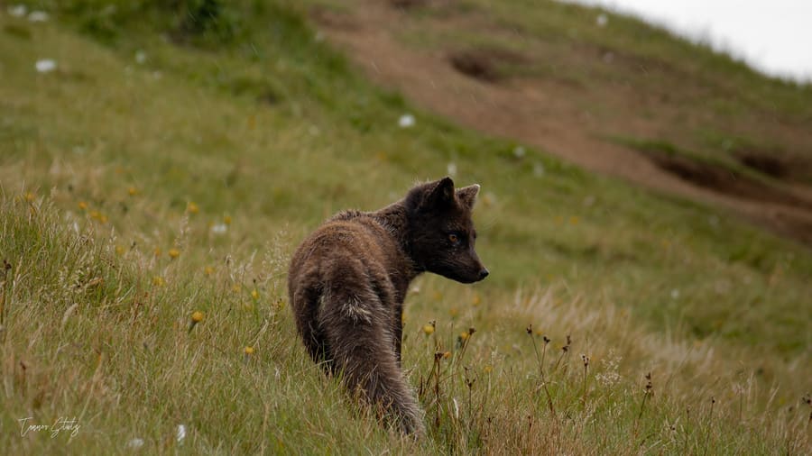 Photograph from Iceland