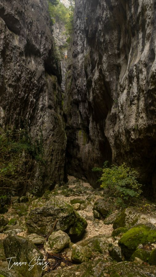 Photograph from Italy