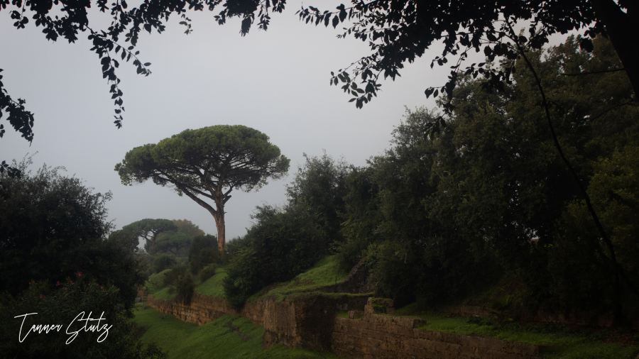 Photograph from Italy