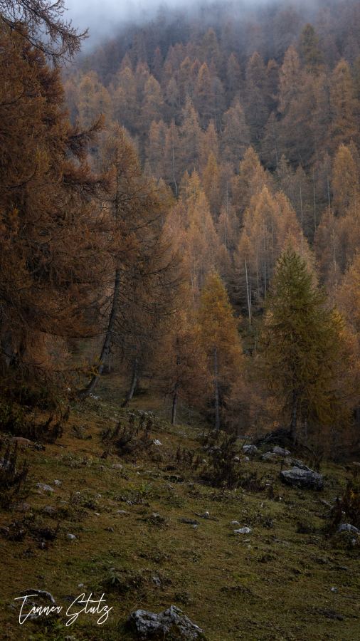 Photograph from Italy