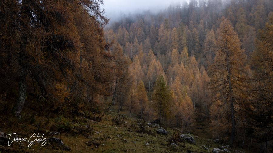 Photograph from Italy