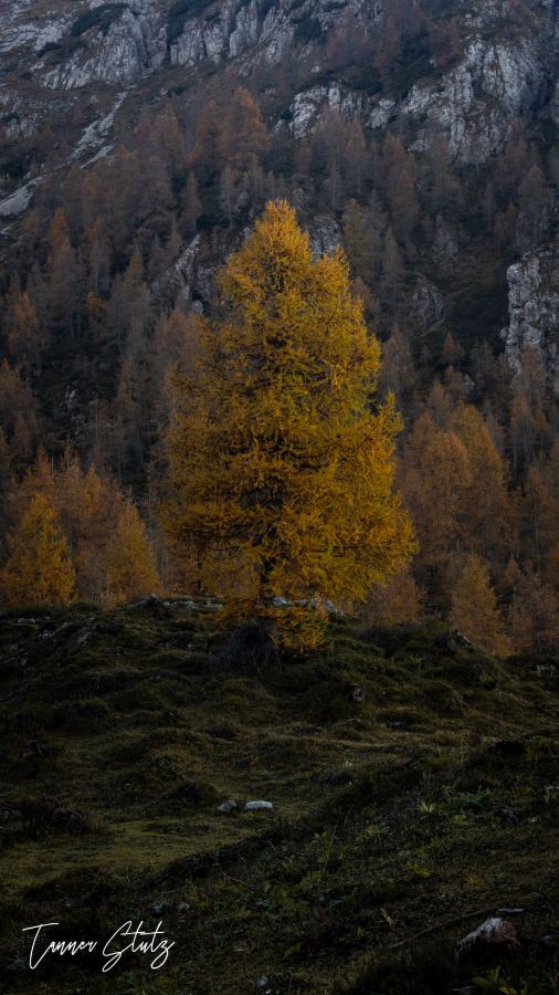 Photograph from Italy
