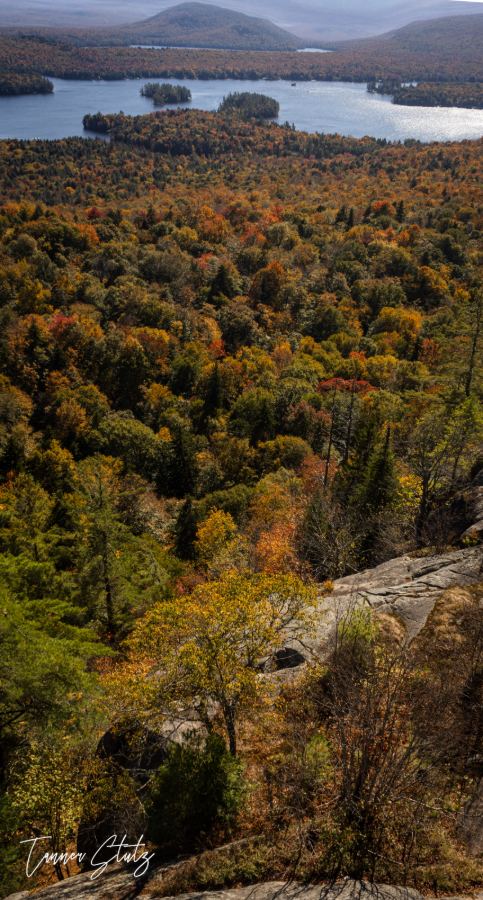 Photograph from Nature Landscape