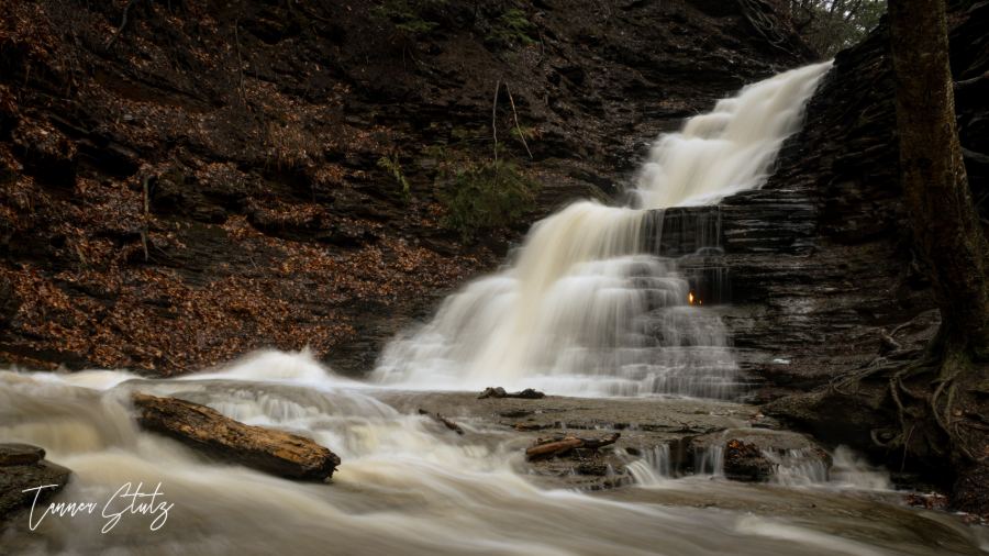 Photograph from Nature Landscape