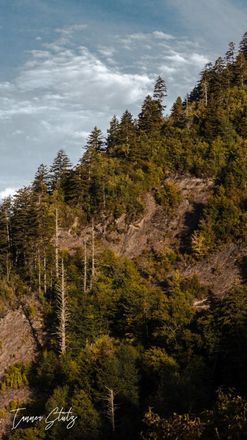 Photograph from Nature Landscape