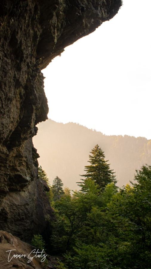 Photograph from Nature Landscape