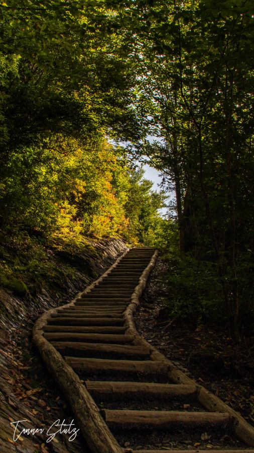 Photograph from Nature Landscape