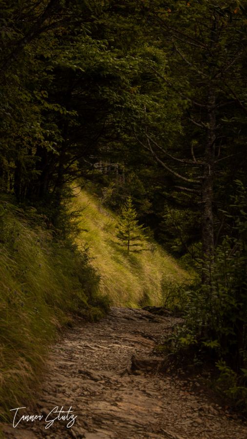 Photograph from Nature Landscape