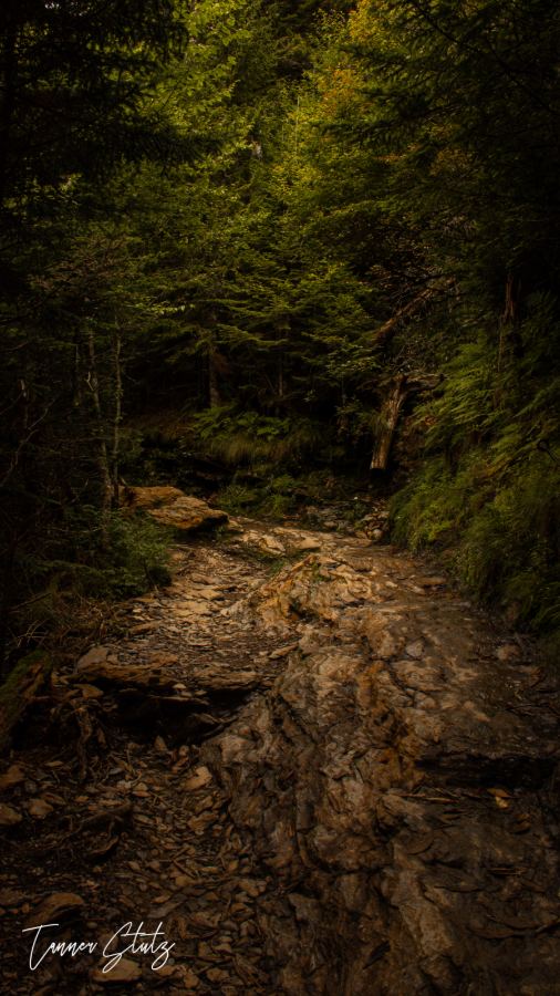 Photograph from Nature Landscape