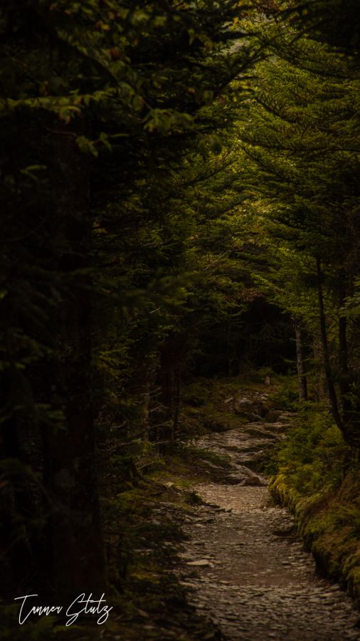 Photograph from Nature Landscape