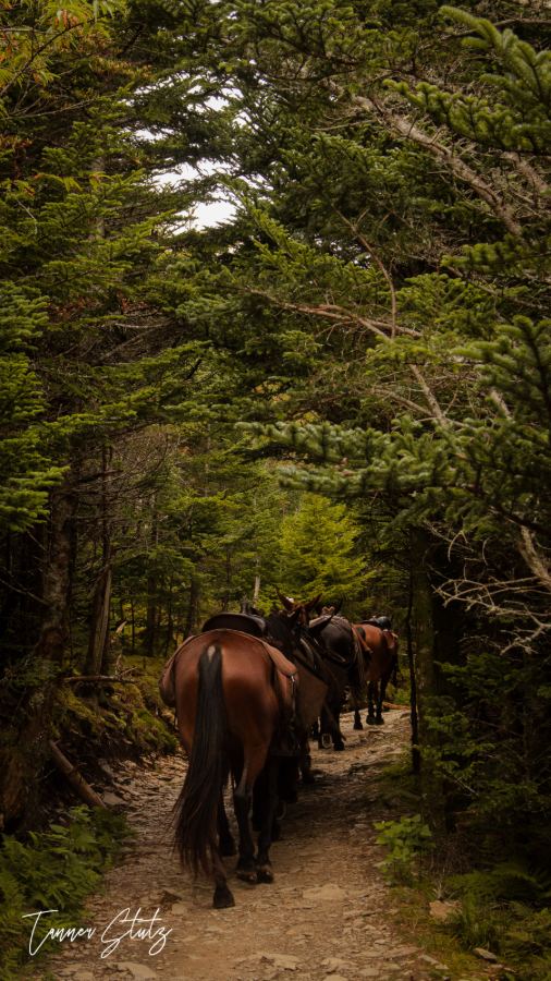 Photograph from Nature Landscape