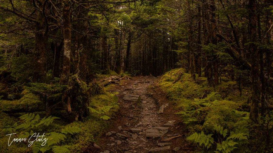 Photograph from Nature Landscape