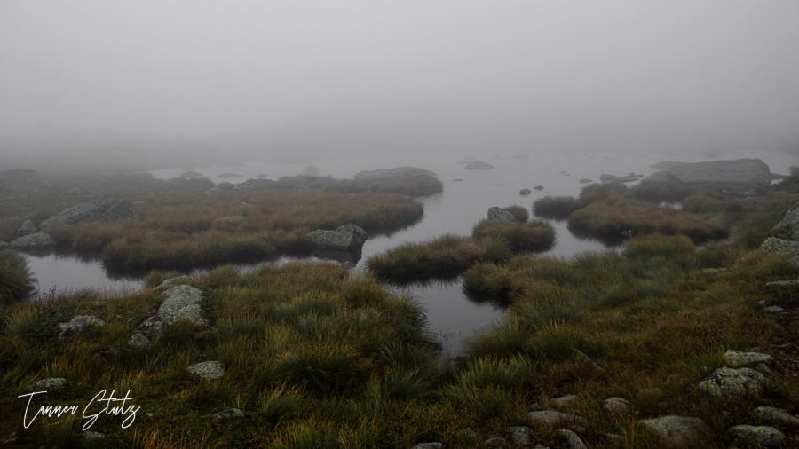 Photograph from Nature Landscape