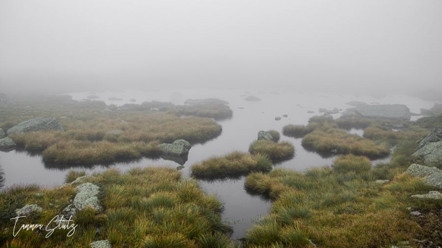 Photograph from Nature Landscape