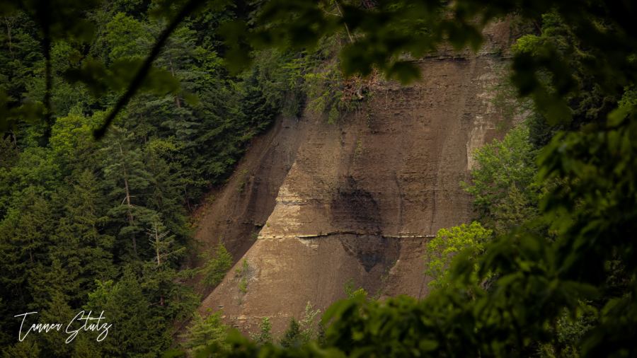 Photograph from Nature Landscape