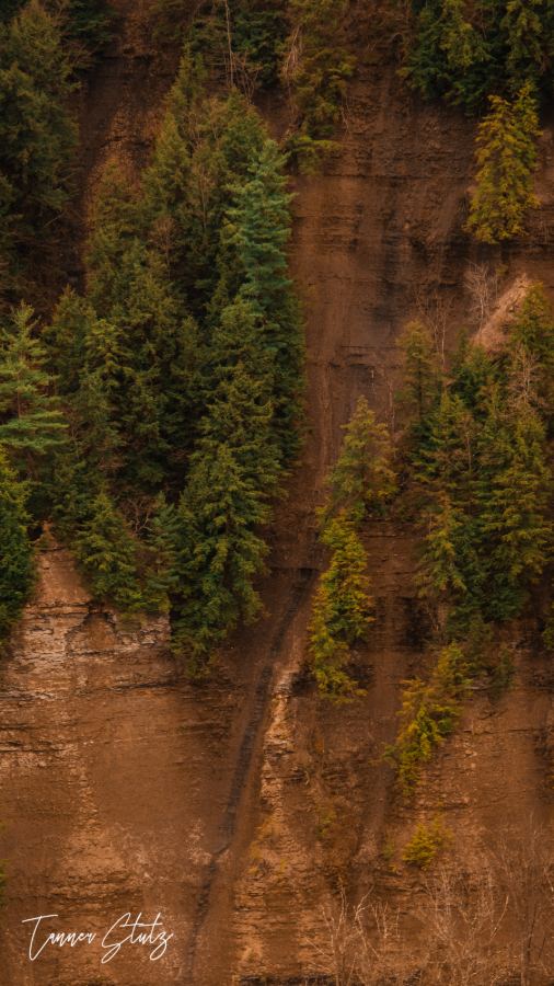 Photograph from Nature Landscape