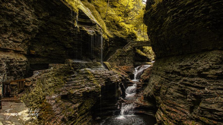Photograph from Nature Landscape