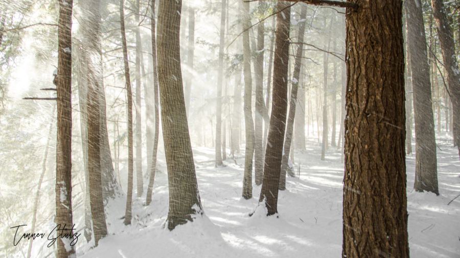 Photograph from Nature Landscape