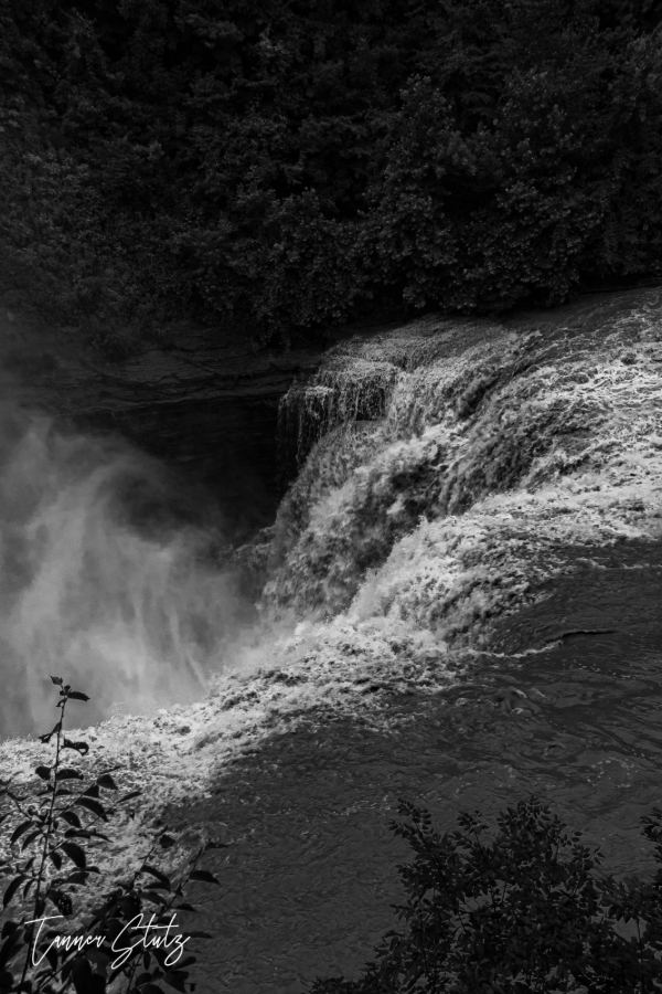 Photograph from Nature Landscape