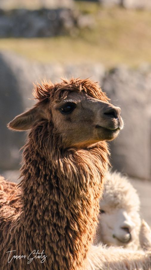 Photograph from Peru