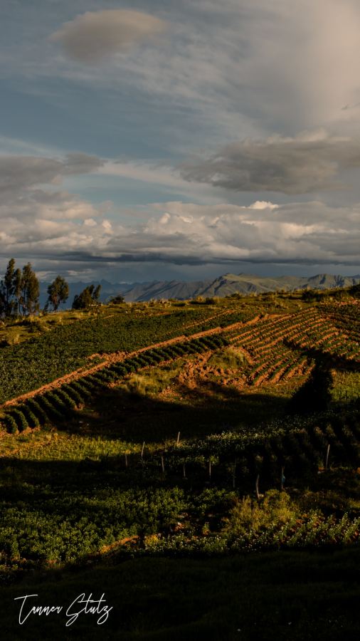 Photograph from Peru