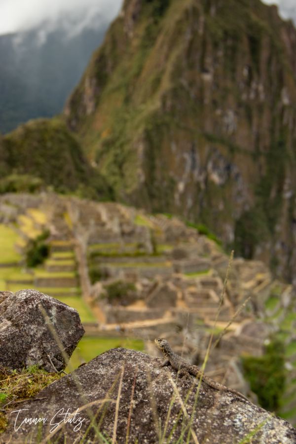 Photograph from Peru