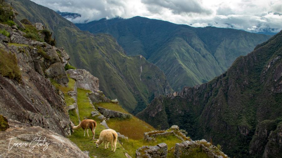 Photograph from Peru