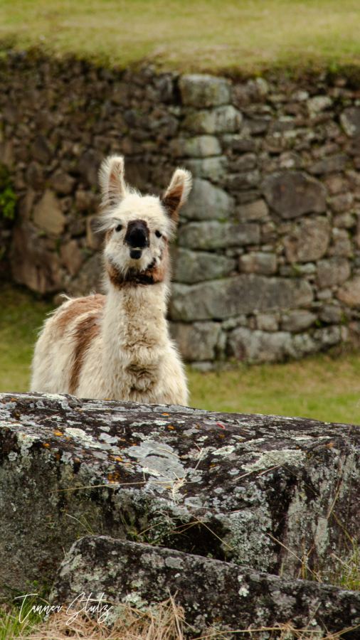 Photograph from Peru
