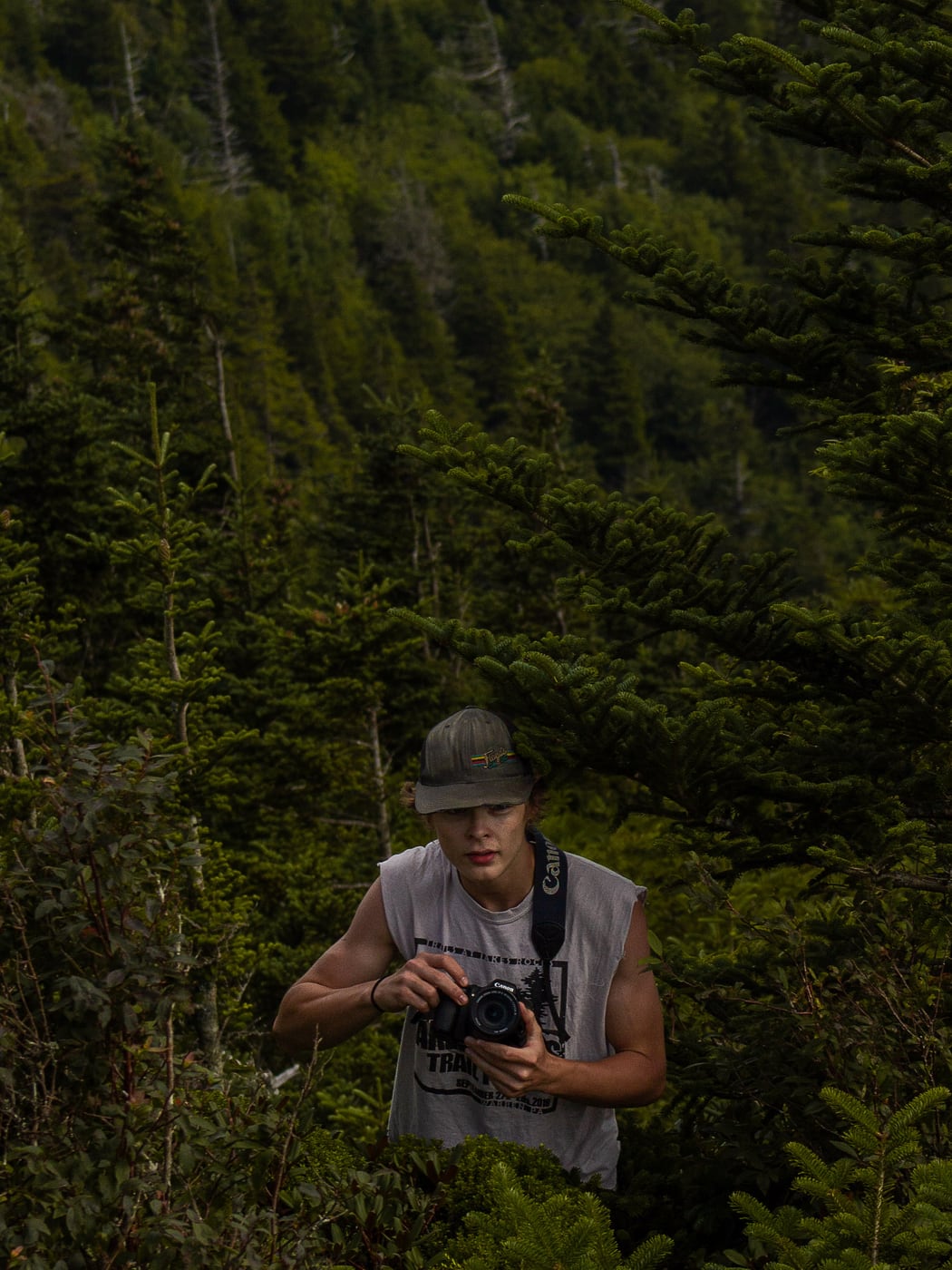 Tanner Stutz photographing among spruce on a mountainside